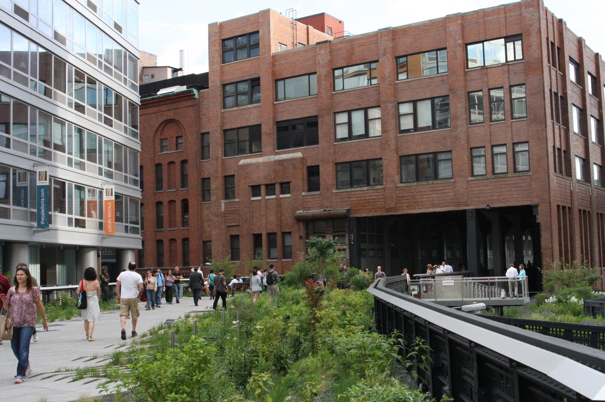 Views of the High Line None