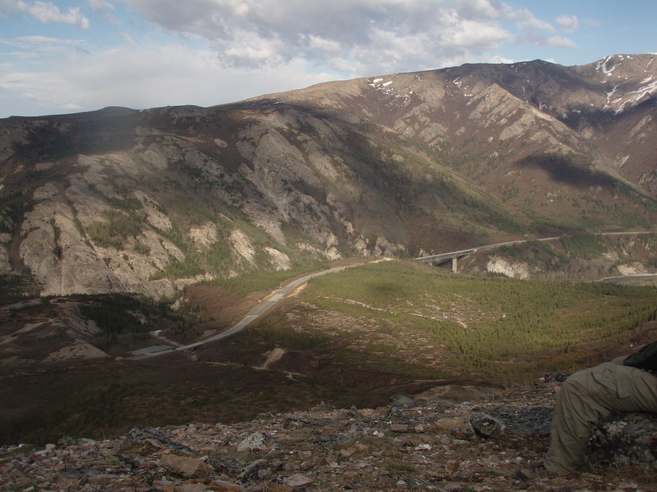 Views of the Nenana River Valley None