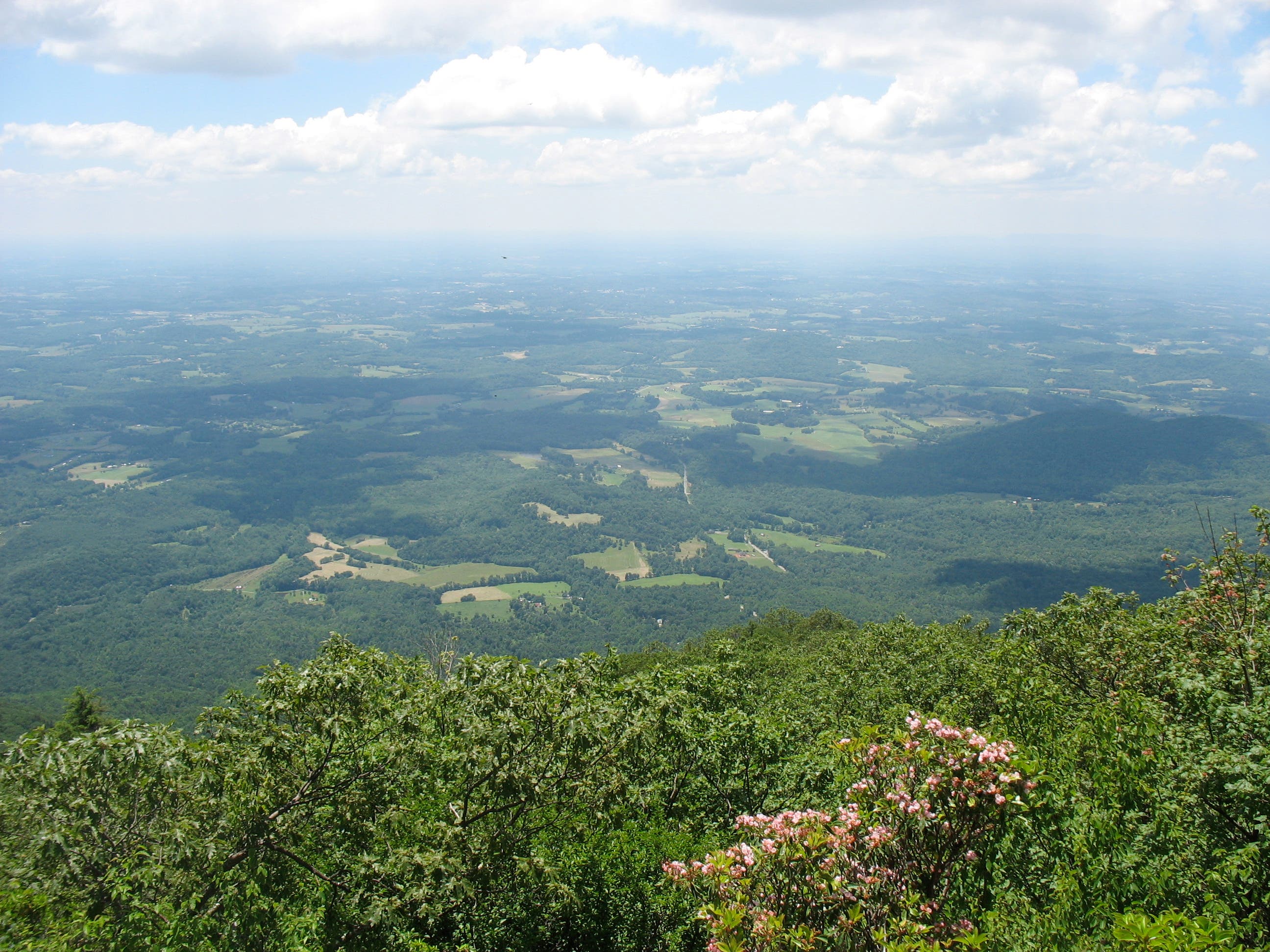 Views of the Piedmont Valley None