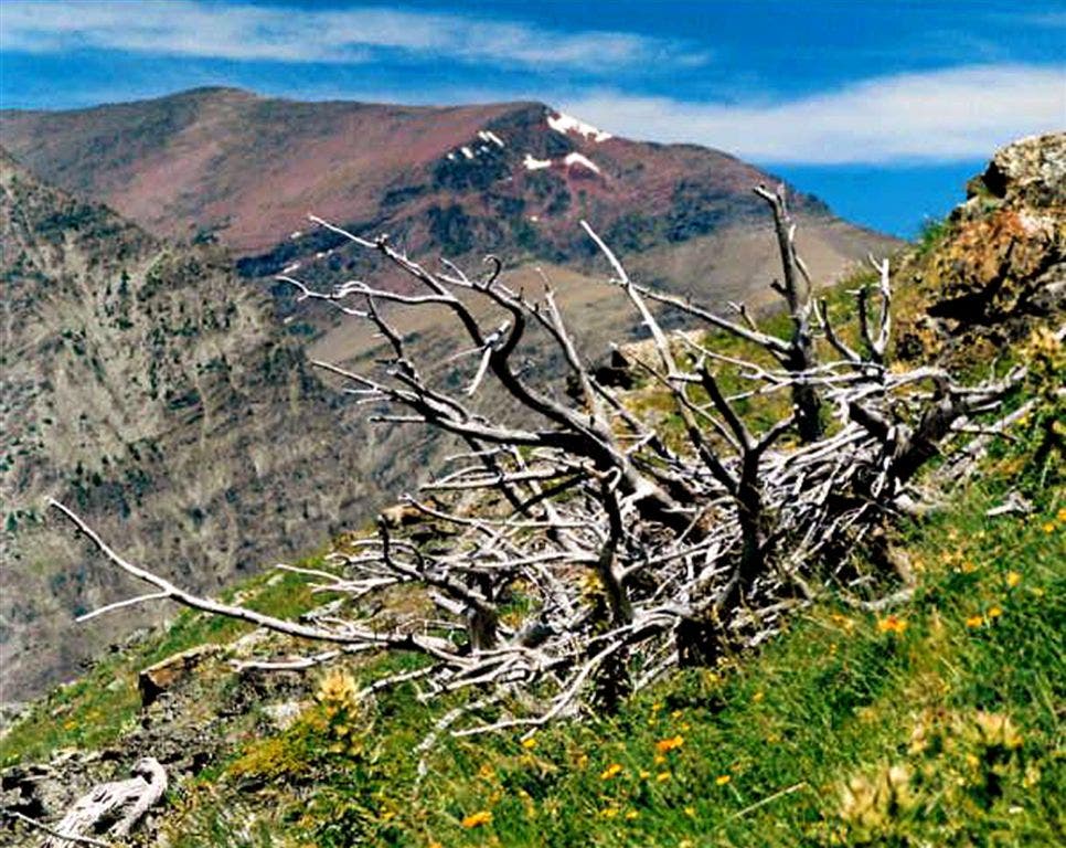 Views of the SW ridge of Spot Mtn. None