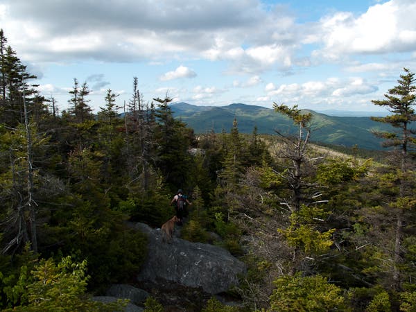 Views on the Descent None