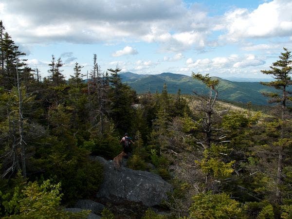 Views on the Descent None