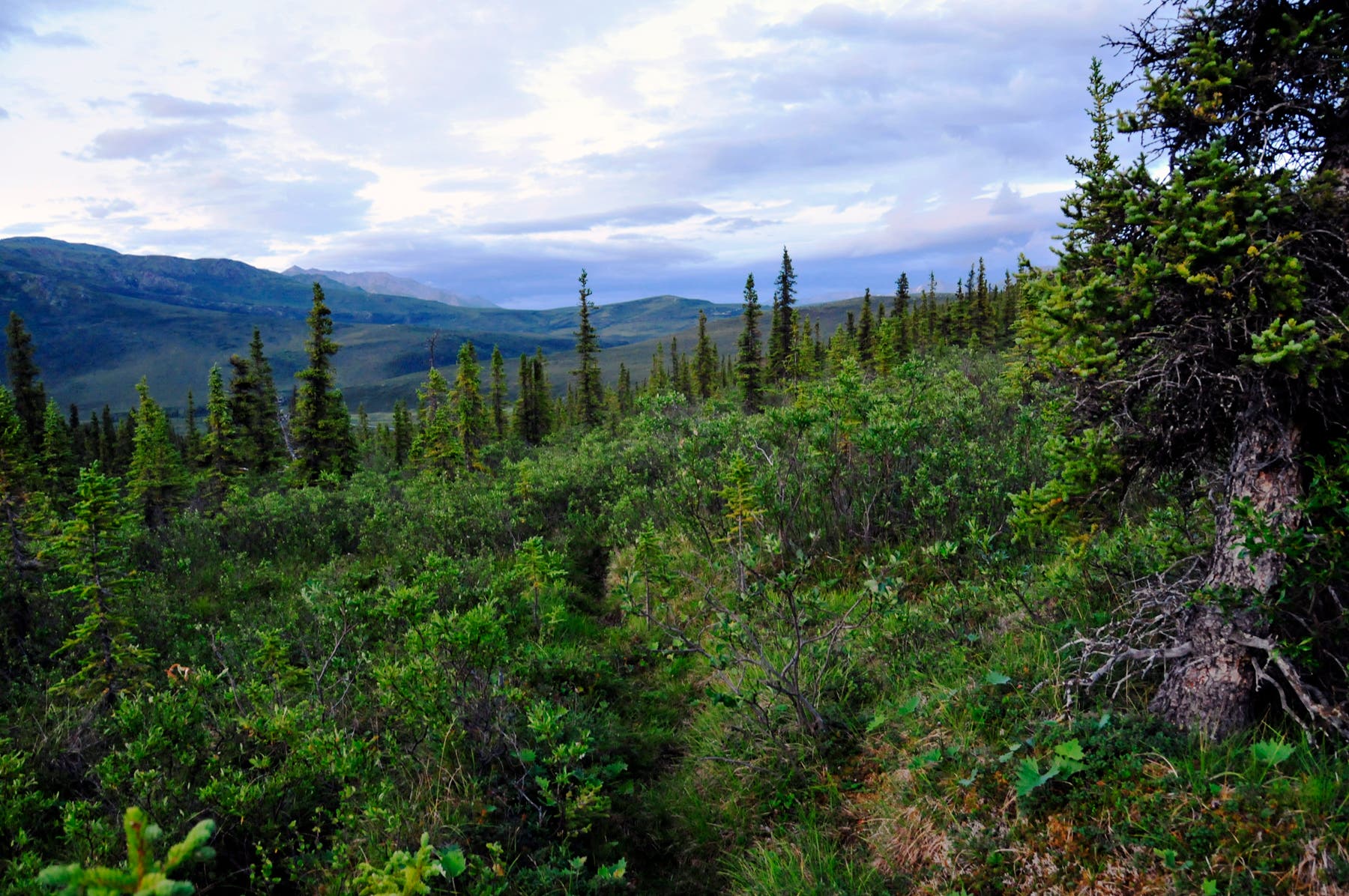 Views to the East None