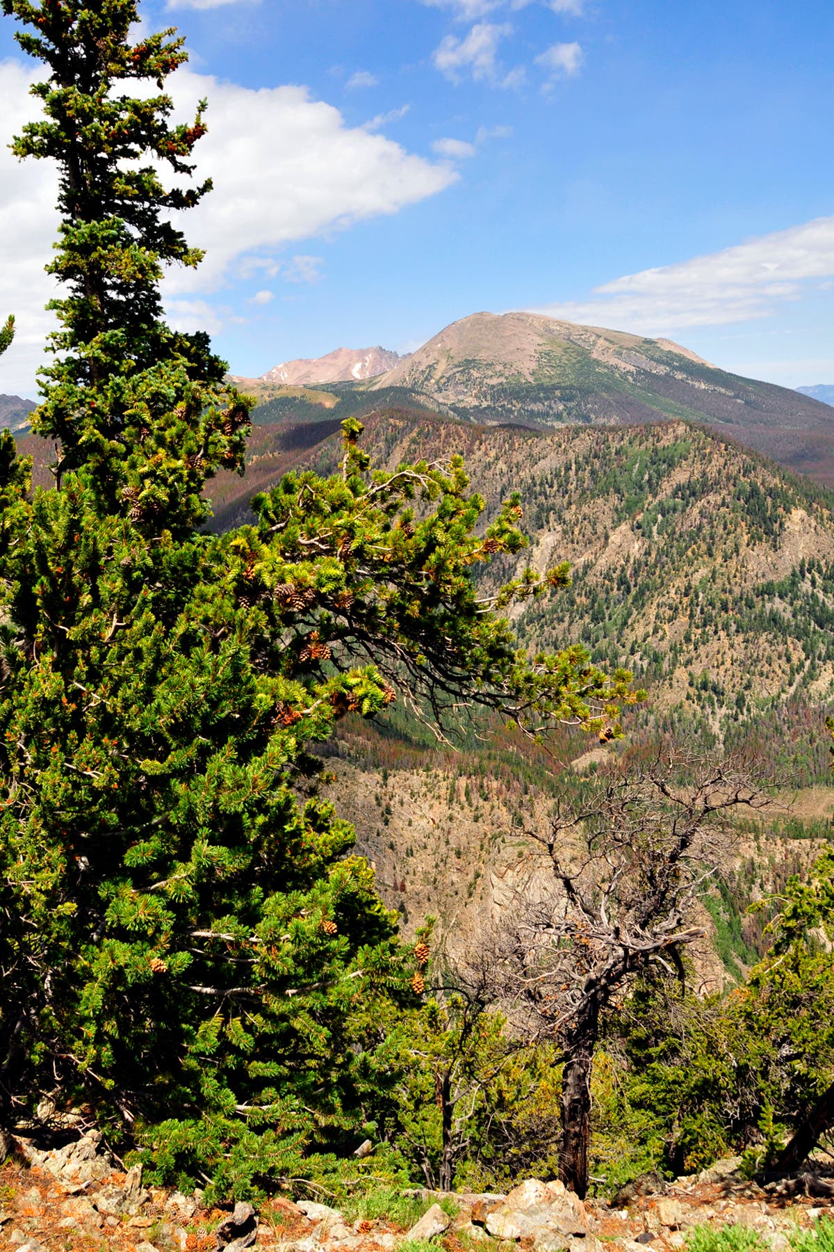 Views to the Northwest None