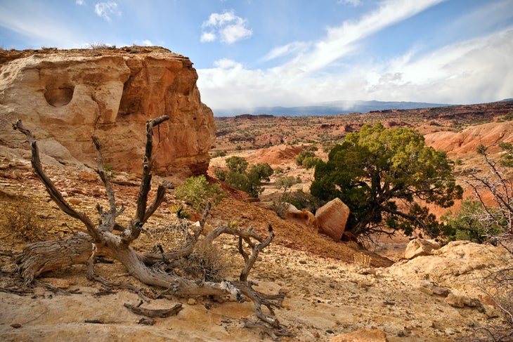 Capitol Reef National Park: Chimney Rock Canyon to Pleasant Creek