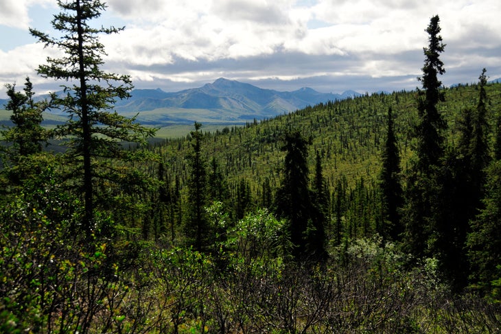 Views to the South None