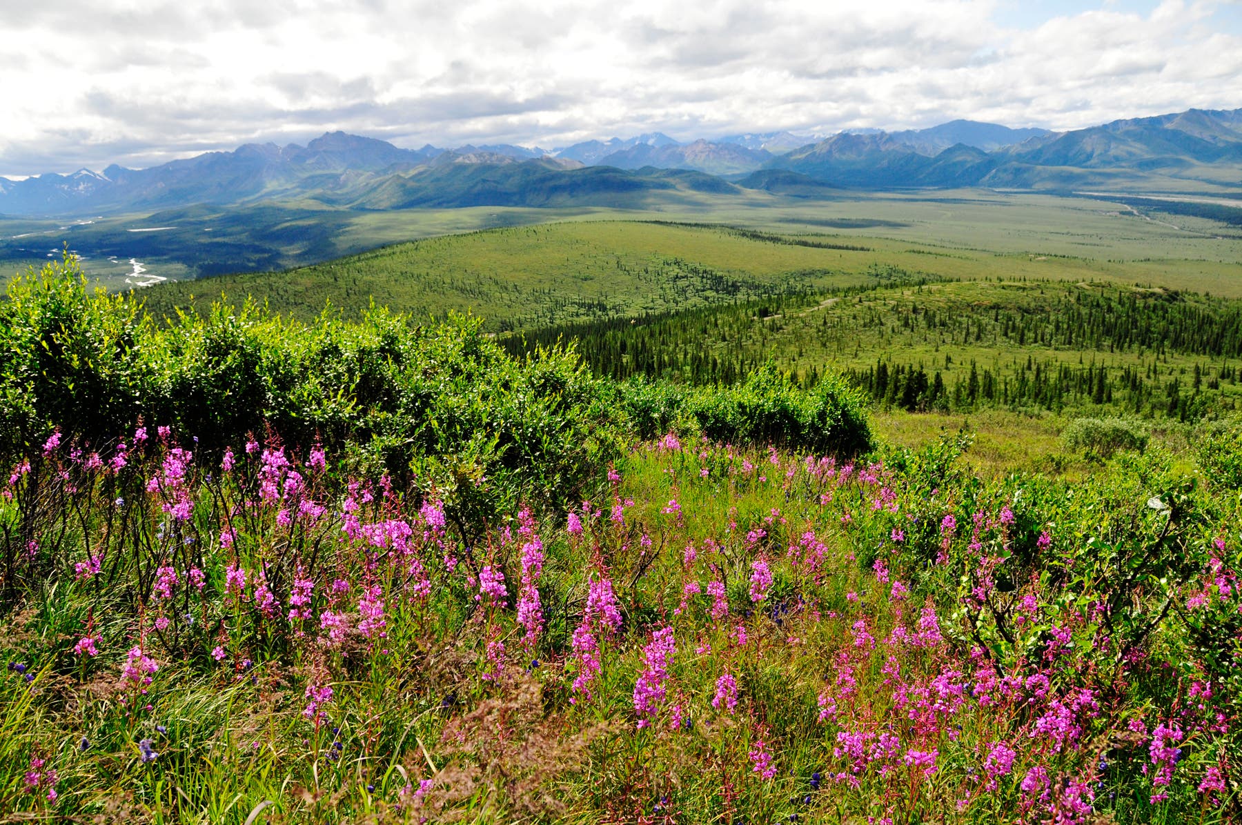 Views to the Southeast None