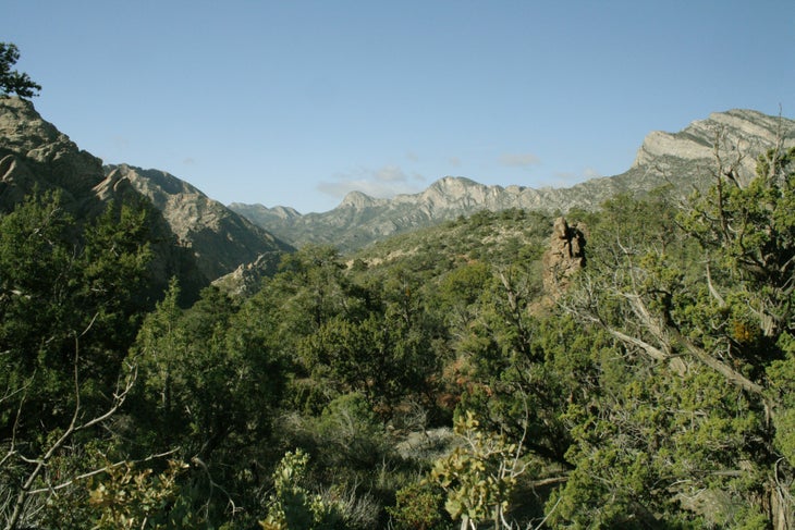 Views to the southwest None