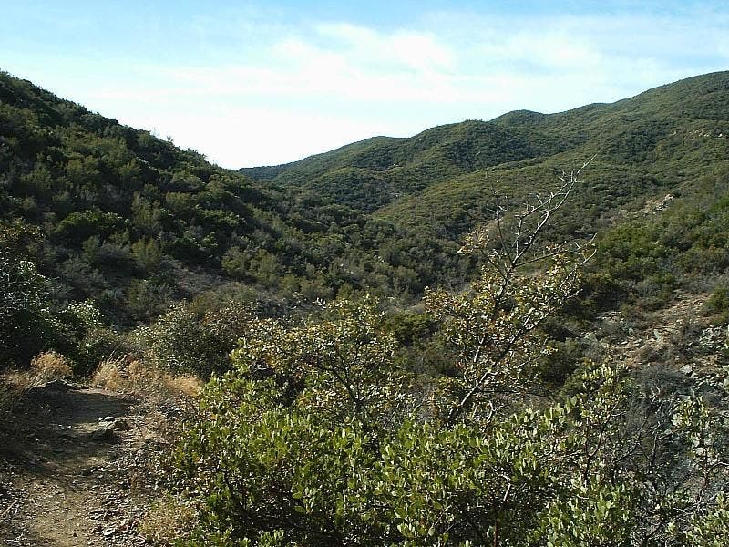 Views up the canyon None