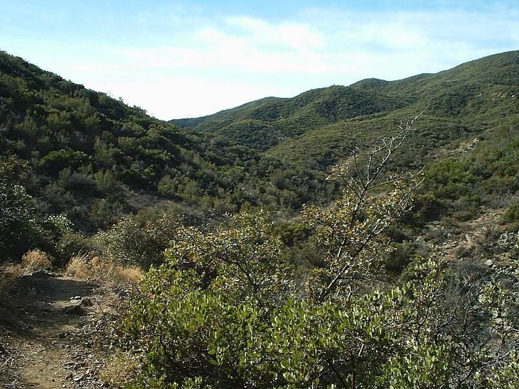 Views up the canyon None