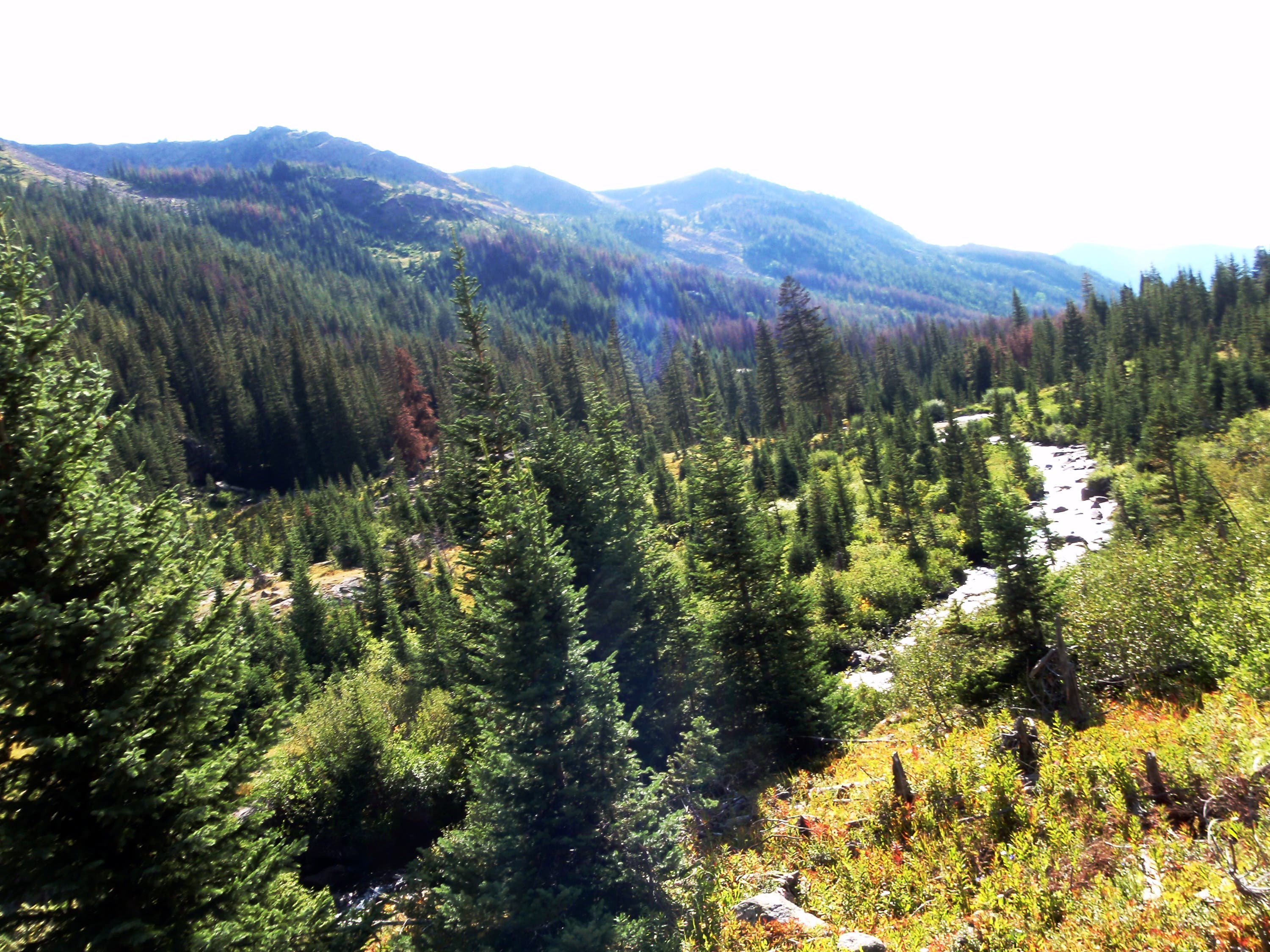 Views West on Gore Creek Trail None