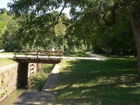 Violette's Lock None