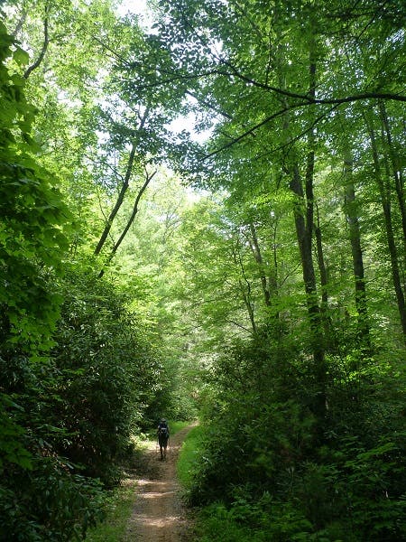 Virginia Highlands Horse Trail None