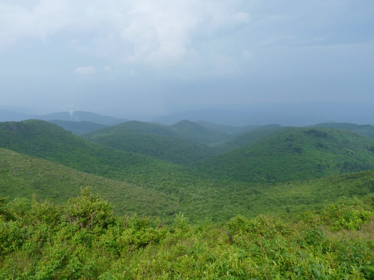 Vista From Peak Of Black Balsam Knob None