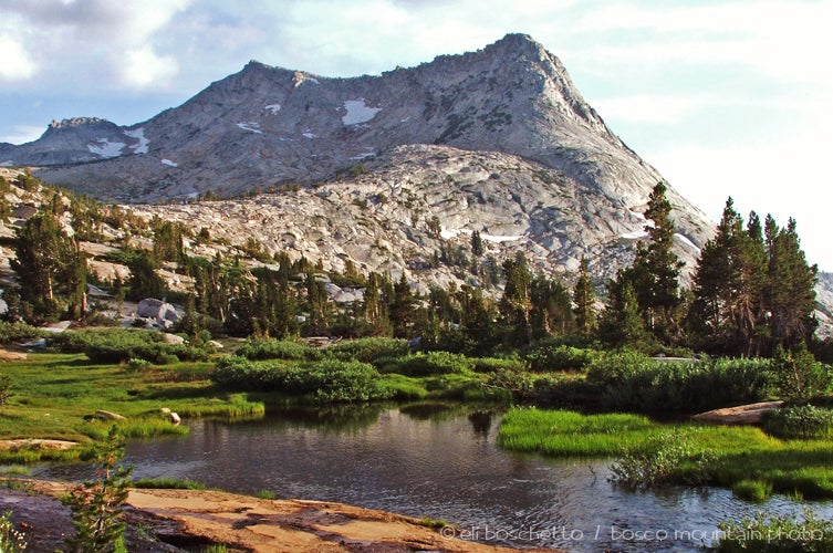 Vogelsang high sierra clearance camp