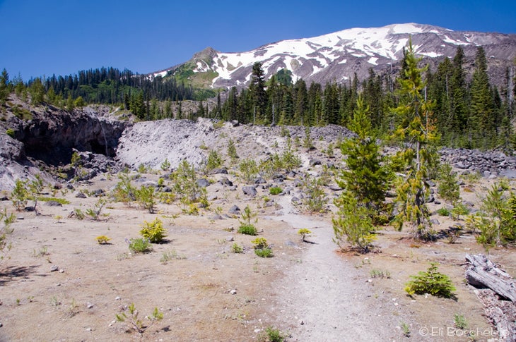 Volcano Trail None