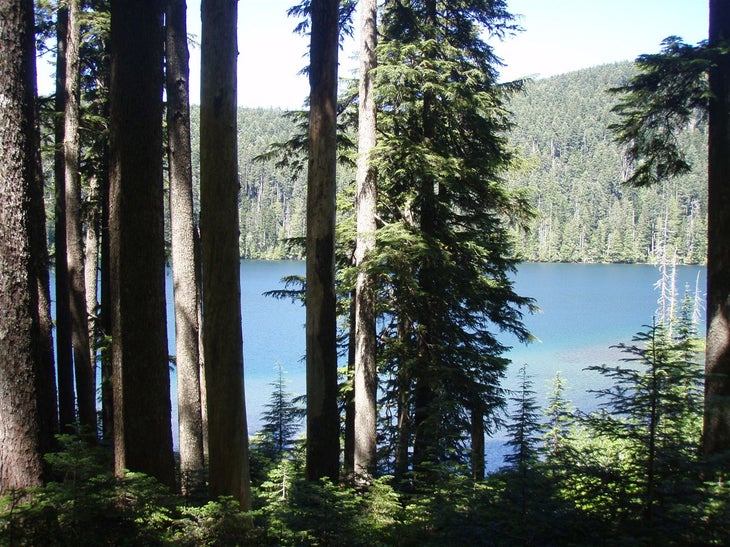 Wahtum Lake None