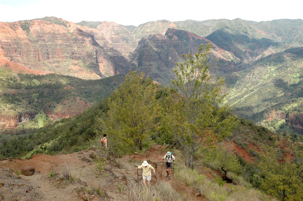 Waimea Canyon None