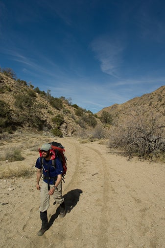 Walking the wash None