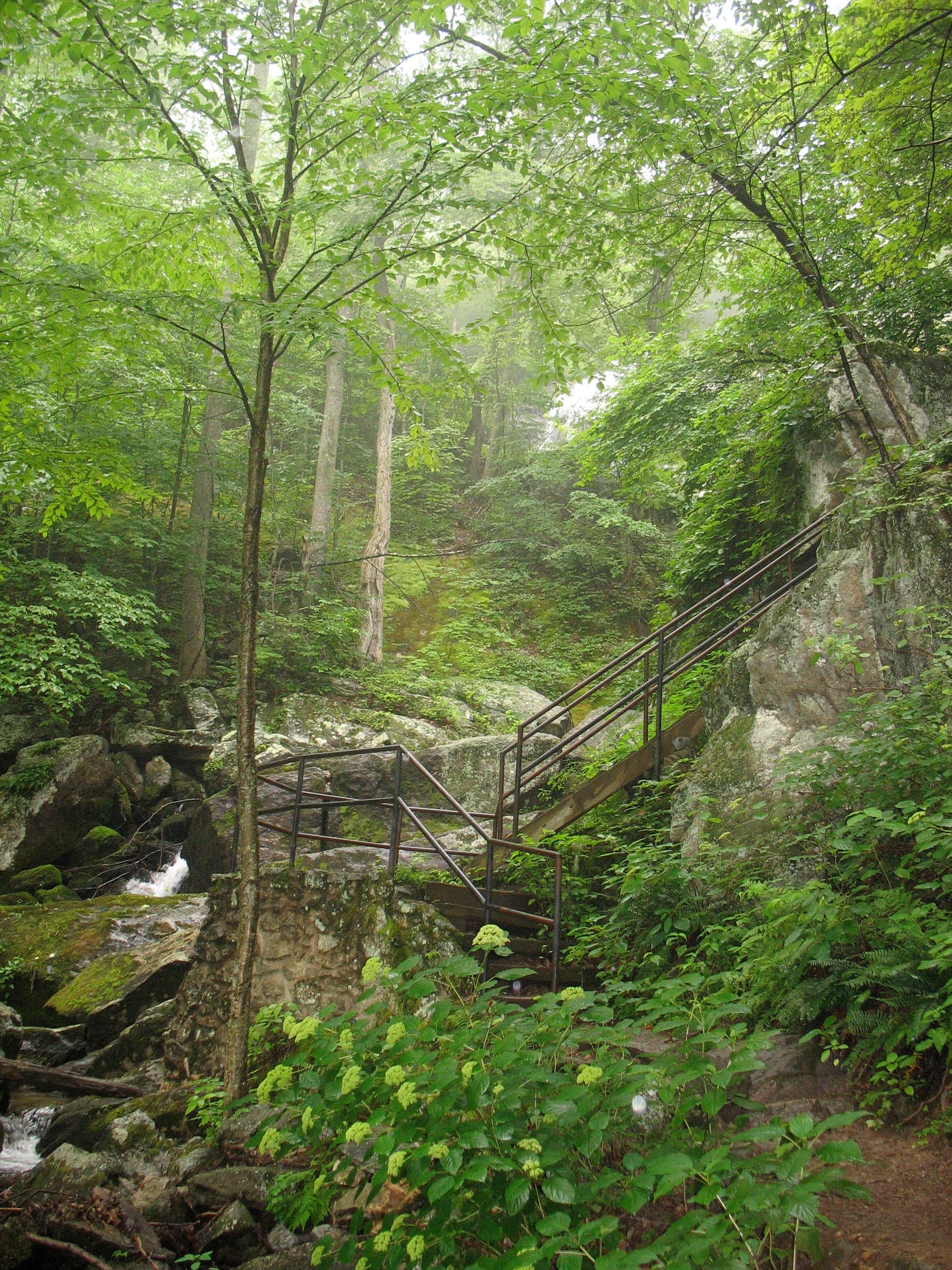 Walkway to Viewing Area None