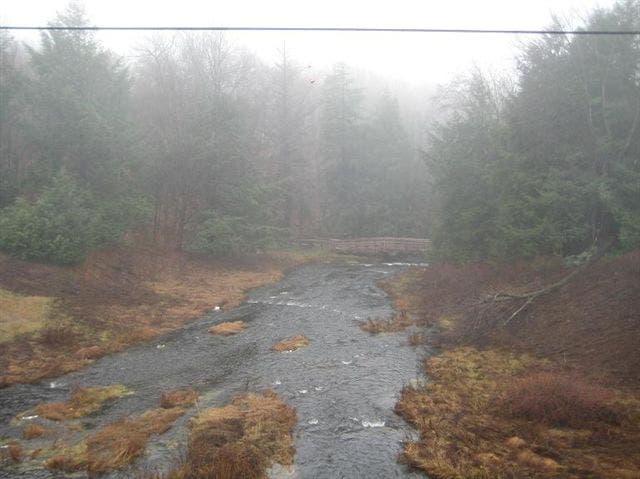 Wallenpaupuck Creek None
