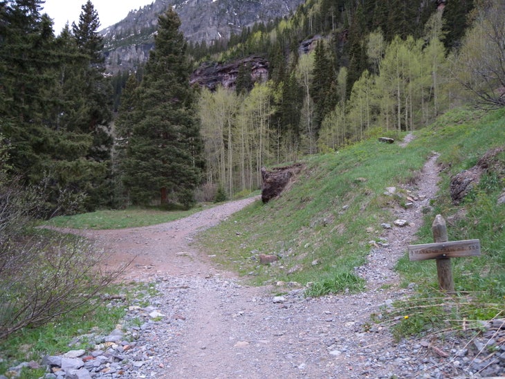 Wasatch Trail None