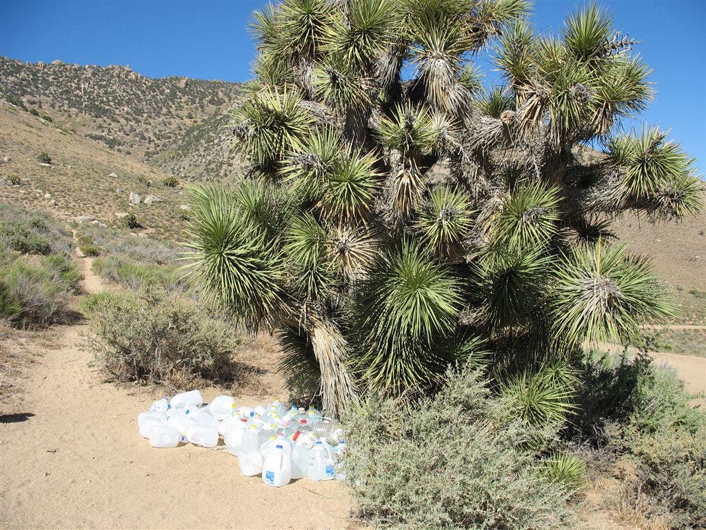 Water cache @ Bird Spring Pass None