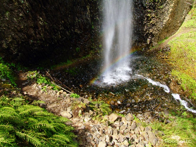Waterfall None
