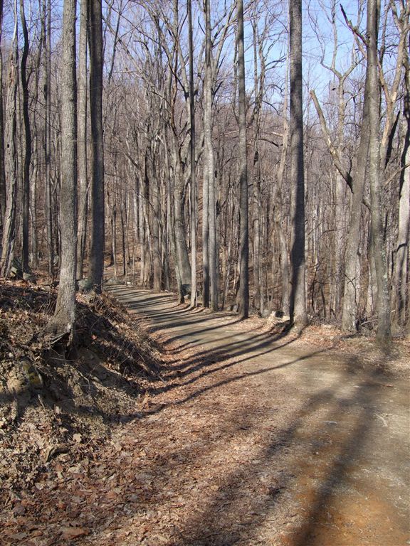 Weakley Hollow Fire Road None