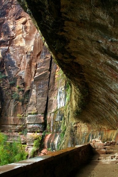 Weeping Rock None