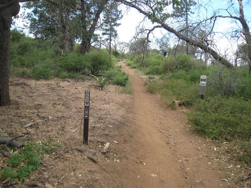 Well-Worn Singletrack None