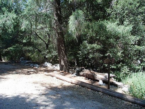 West Fork Campground None