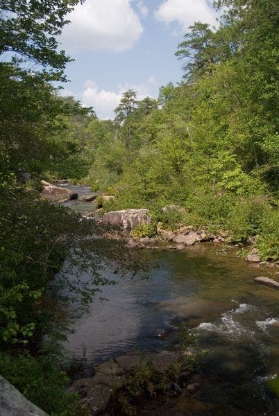 West Fork Little River None