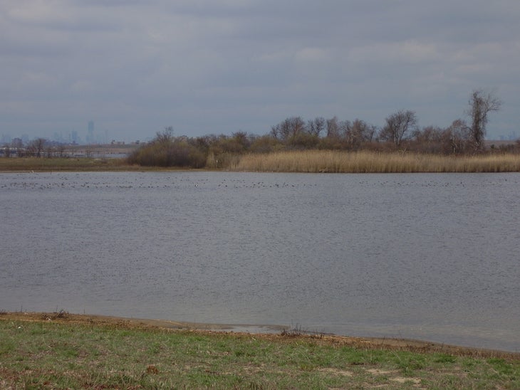 West Pond None
