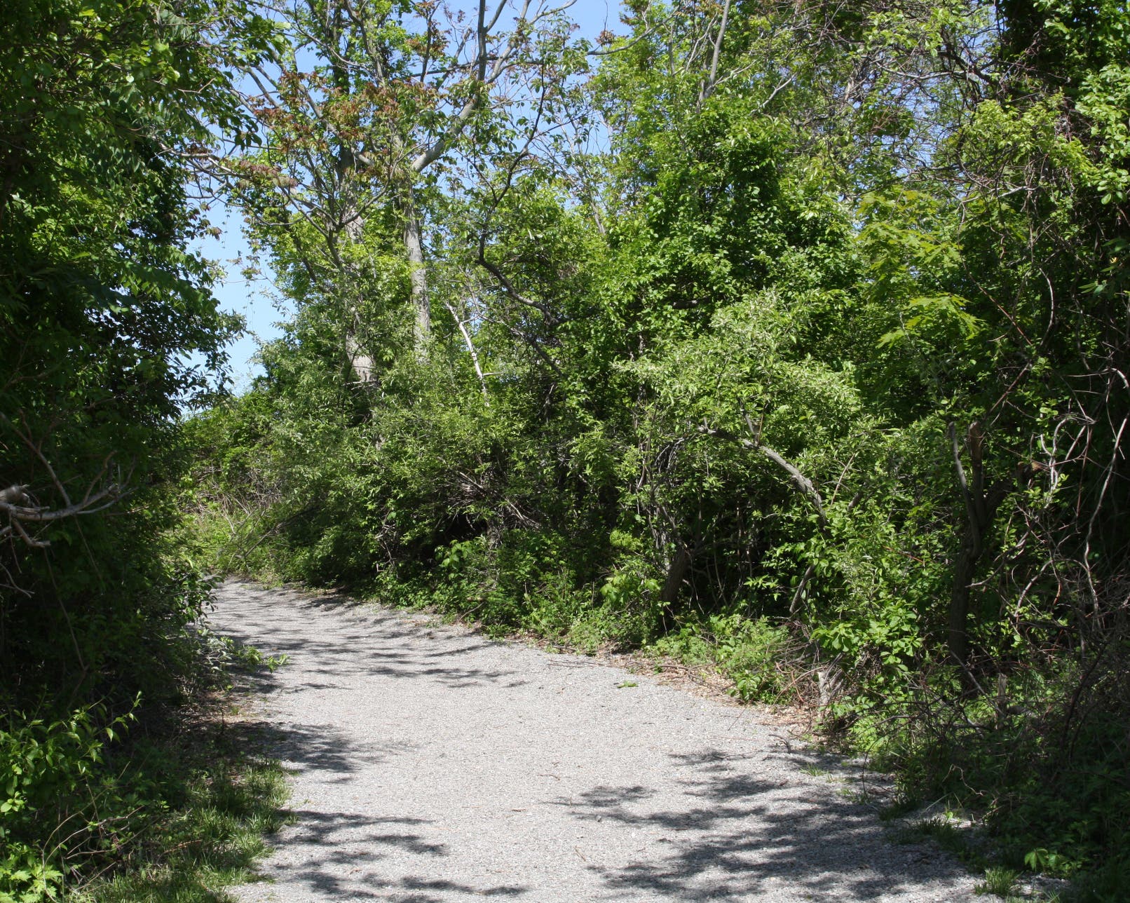 West Pond Trail None