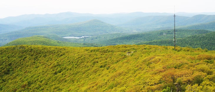Westward view of Catskills None