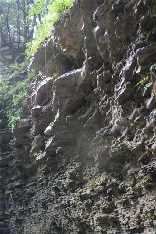 Wet, crumbling sedimentary rock walls line the Gorge Trail None