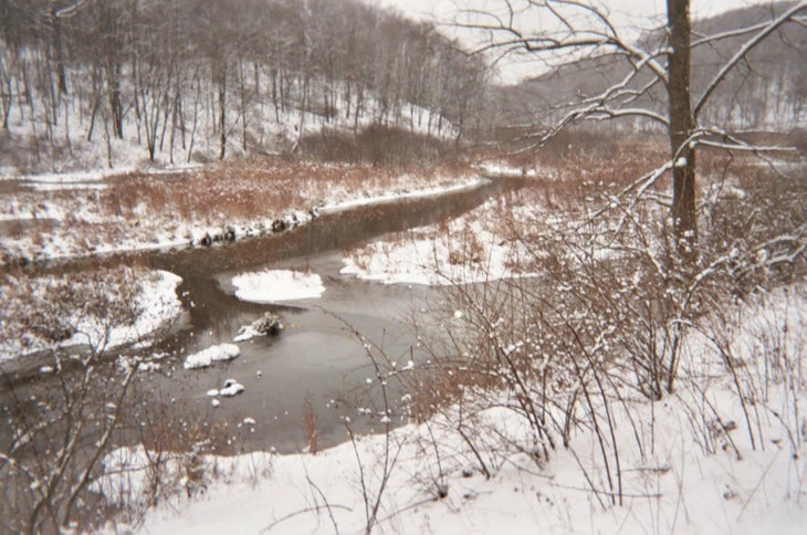 Wetlands None