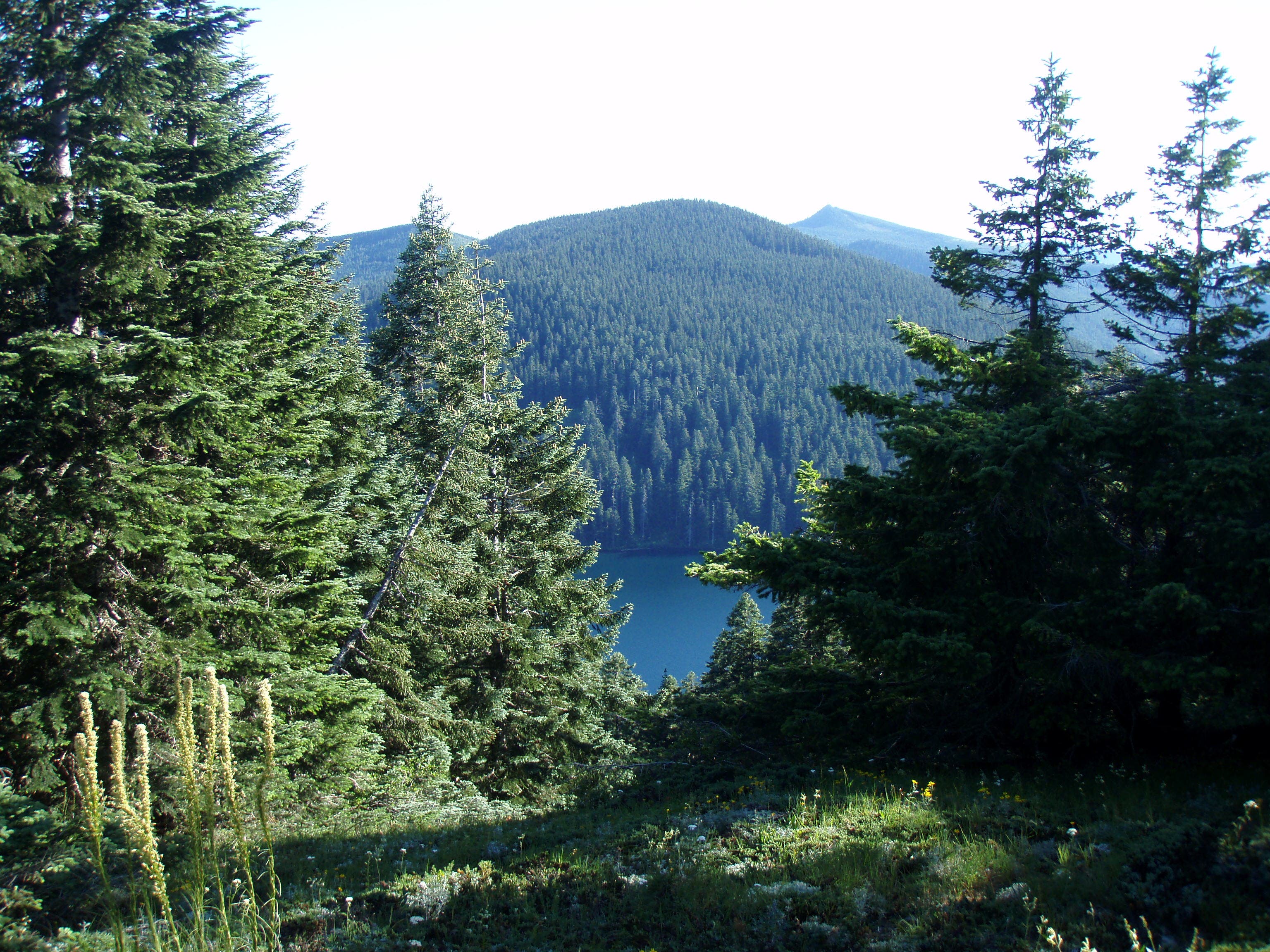 Whatum Lake View None