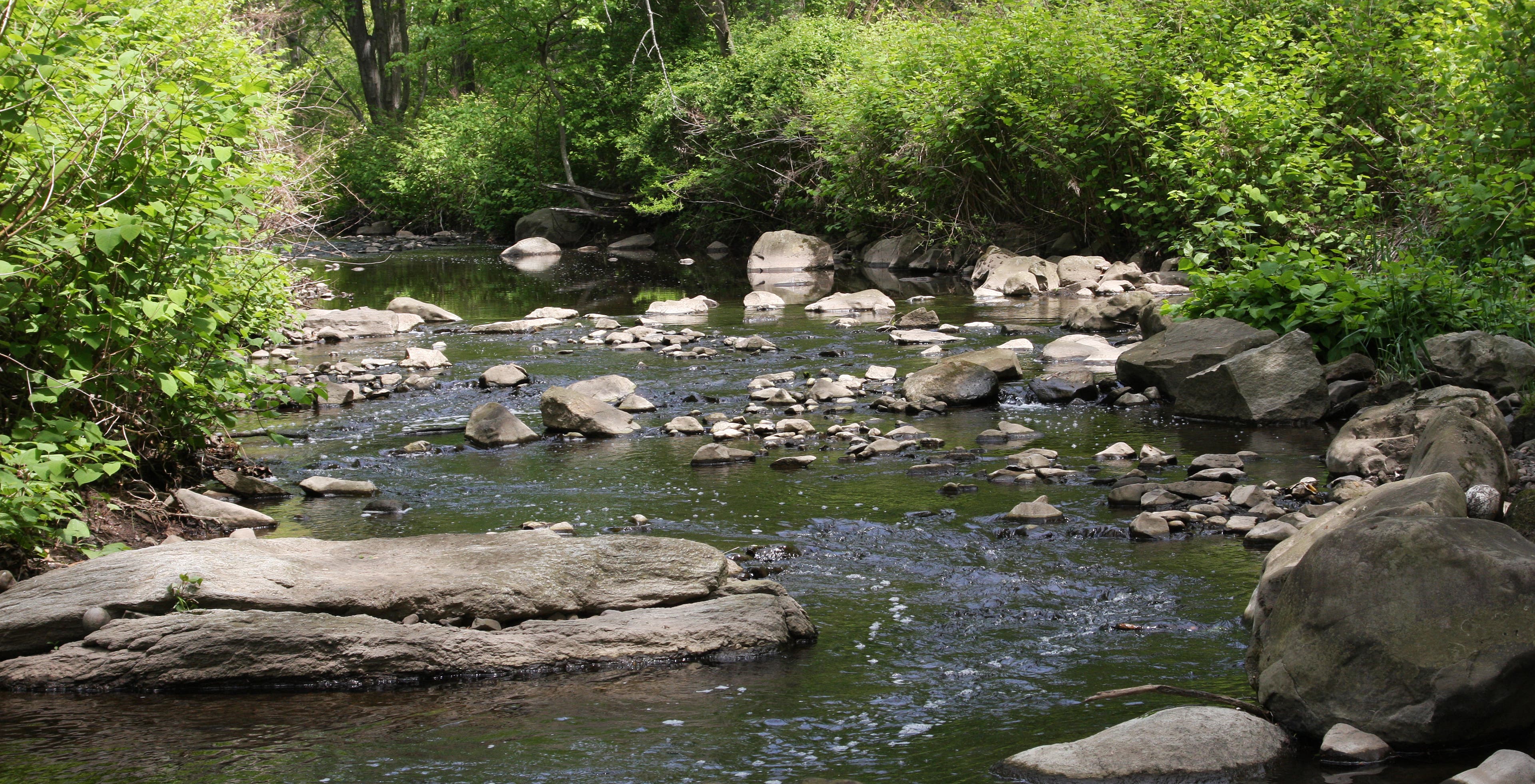 Where hikers must rockhop the Rahway None