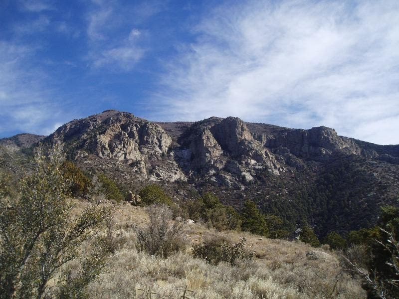 Where the raptor soar! None