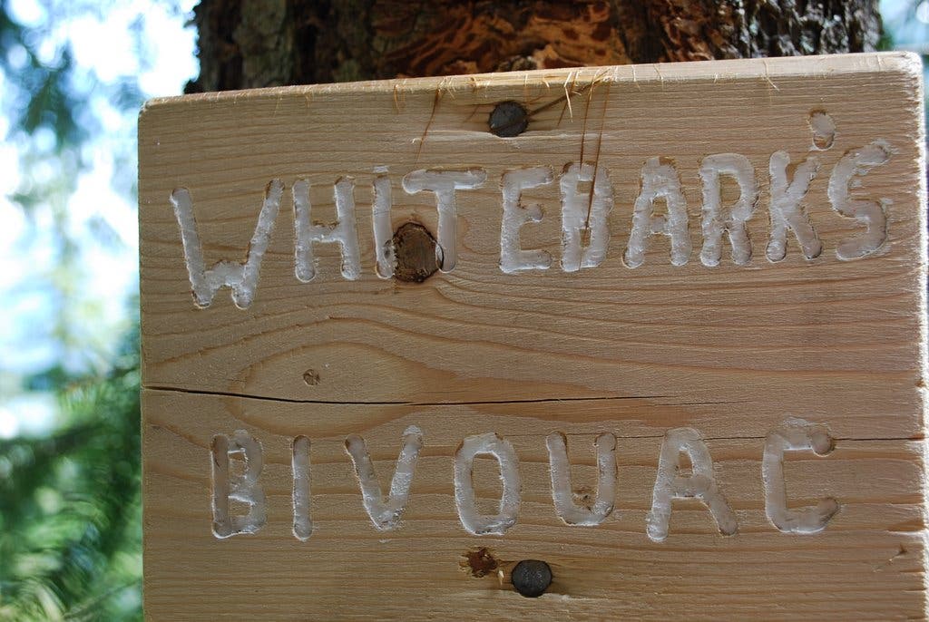 Whitebark's Bivouac None