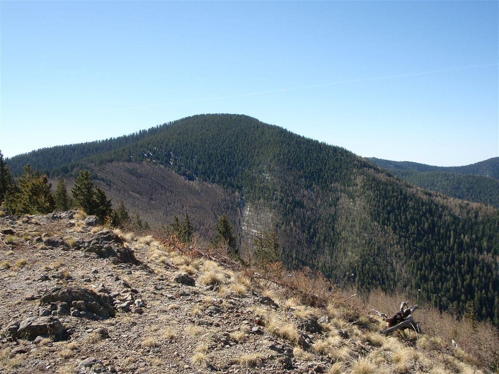 Whitewater Baldy None