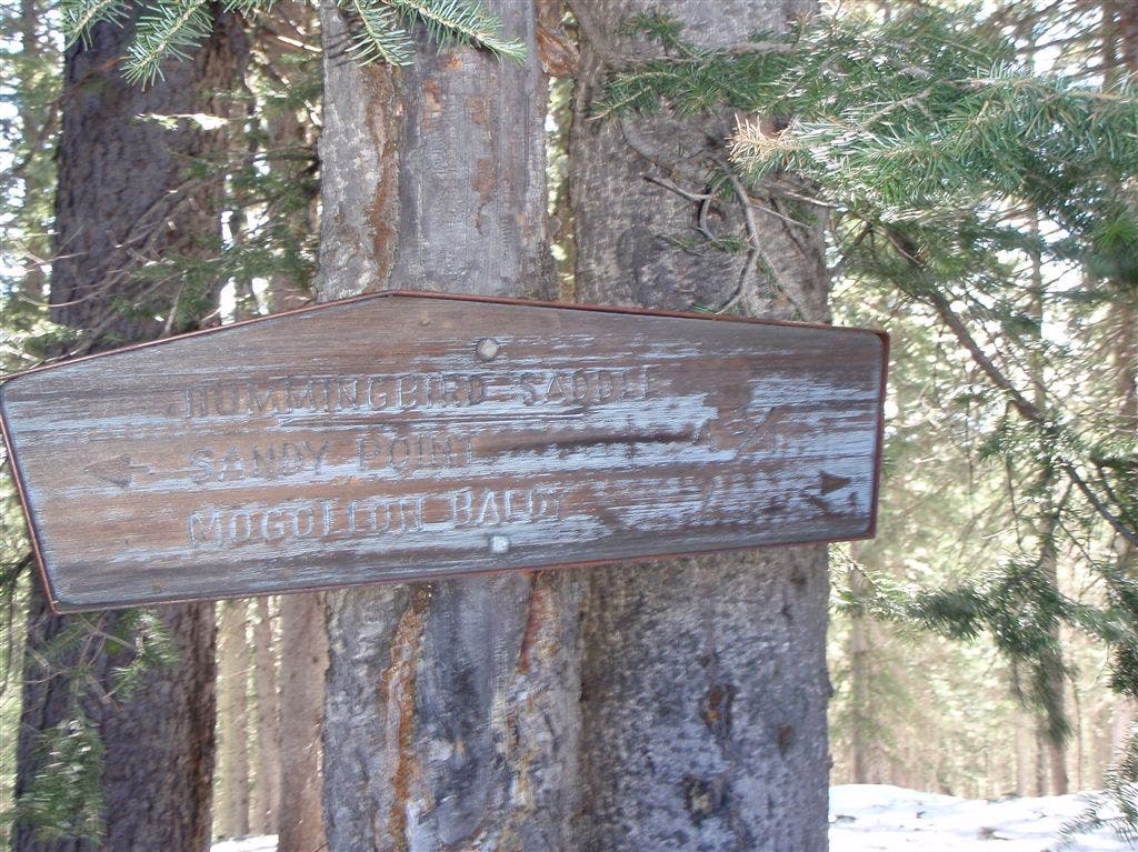 Whitewater Creek Trail None