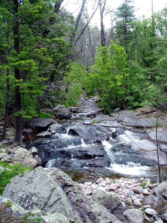 Whitewater Creek None