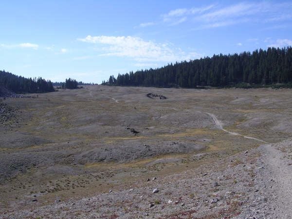 Wickiup Plains None