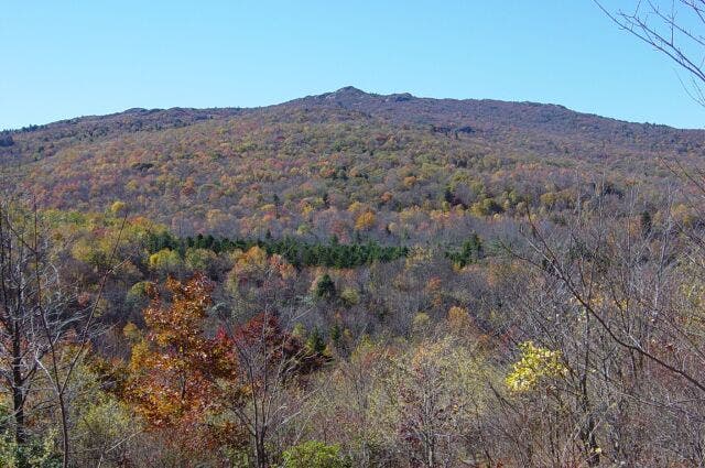 Wilburn Ridge from AT on Stone Mountain None