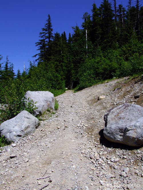 Wildcat Trailhead None