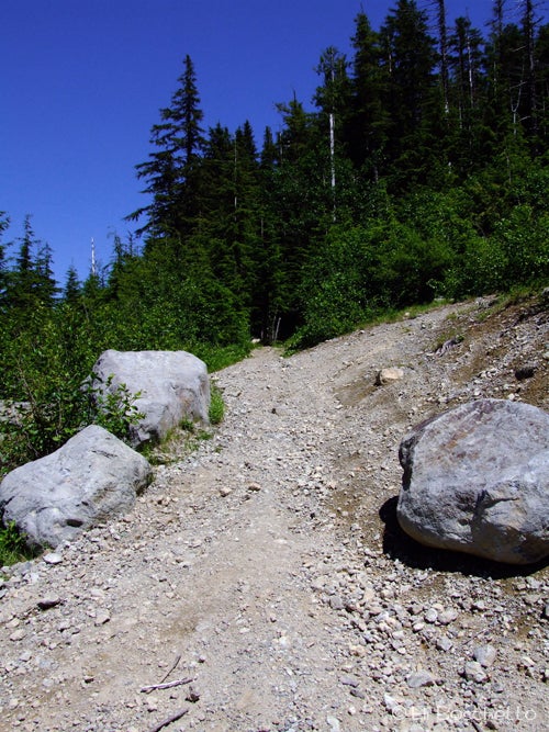 Wildcat Trailhead None