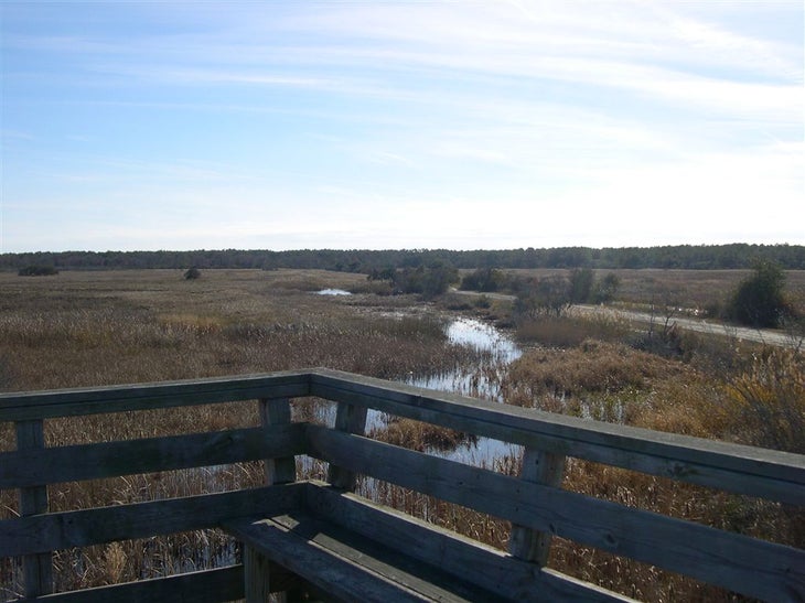 Wildlife Area View None